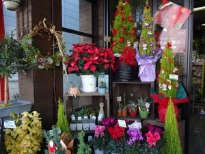 クリスマス・そしてお正月！｜「緑花園」　（徳島県吉野川市の花キューピット加盟店 花屋）のブログ