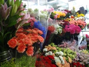 お店のオープンに｜「緑花園」　（徳島県吉野川市の花キューピット加盟店 花屋）のブログ