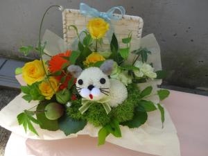 新しい仲間が！｜「緑花園」　（徳島県吉野川市の花キューピット加盟店 花屋）のブログ