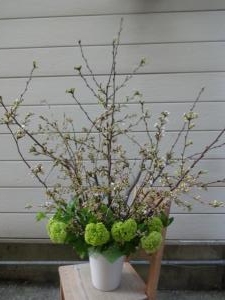 桜のプレゼント！｜「緑花園」　（徳島県吉野川市の花キューピット加盟店 花屋）のブログ