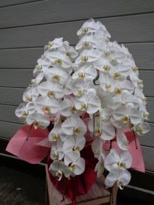 お届けしました｜「緑花園」　（徳島県吉野川市の花キューピット加盟店 花屋）のブログ