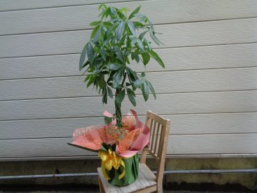 退職お祝いに色々と・・・｜「緑花園」　（徳島県吉野川市の花キューピット加盟店 花屋）のブログ