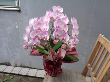 明日からは４月です…