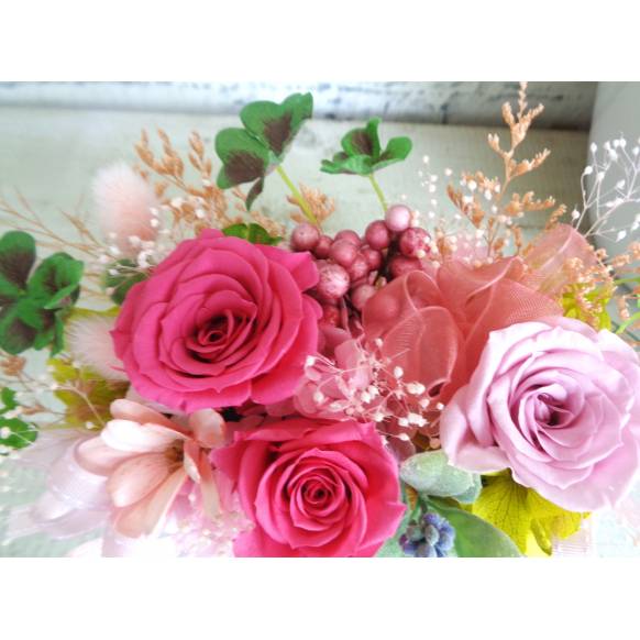 ぷりざ・ピンクとクローバー