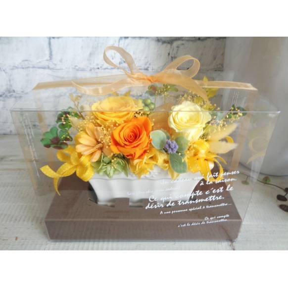 ぷりざ・イエローとクローバー