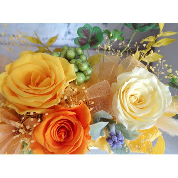 ぷりざ・イエローとクローバー